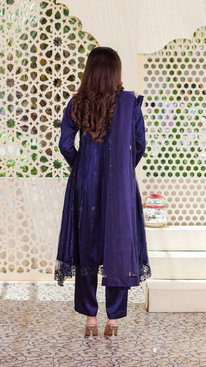 Ayla Luxe Pishwas featuring intricate net embroidery, elegant cutwork, handwork detailing, embroidered sleeves, satin silk trousers, a 4-sided embroidered net dupatta, and a handmade clutch.