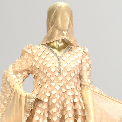 3-Piece 3D Chiffon Frock with  Chiffon Dupatta MMG-809