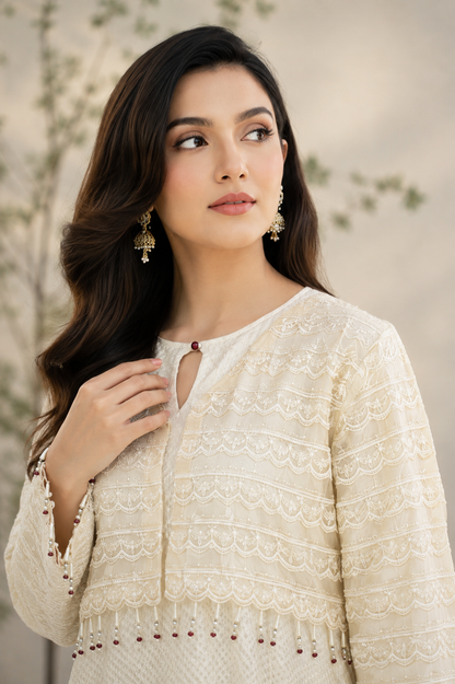 Mah-e-Rooh Royal Maxi front view with embroidered net fabric